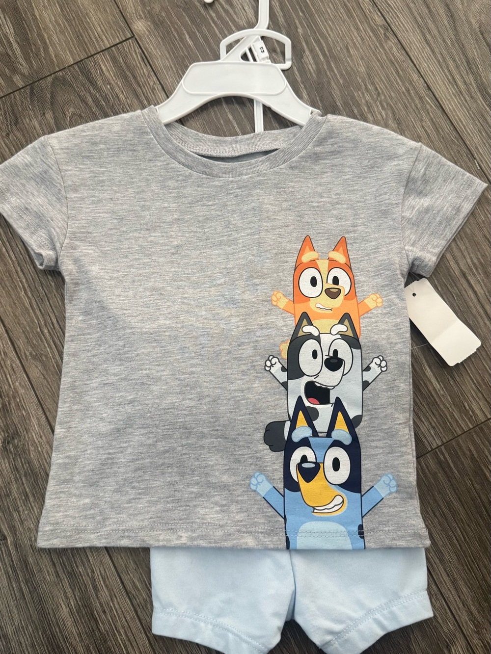 NWT Kids Bluey Graphic Tee - Gray/Blue